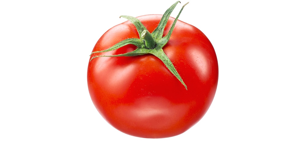 Tomato fruit deals